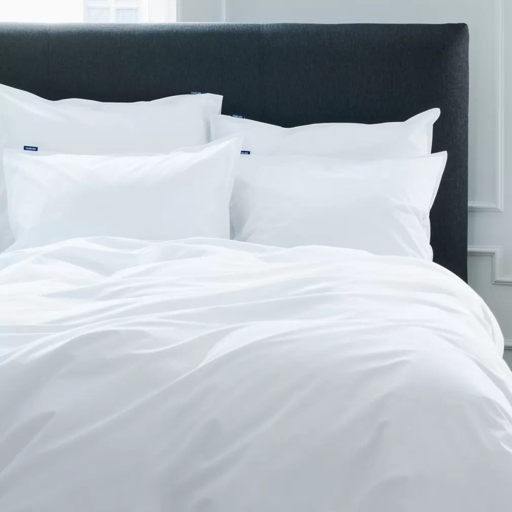 Hotel Safe pillow
