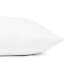 Refill fillable pillow