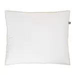 Down pillow